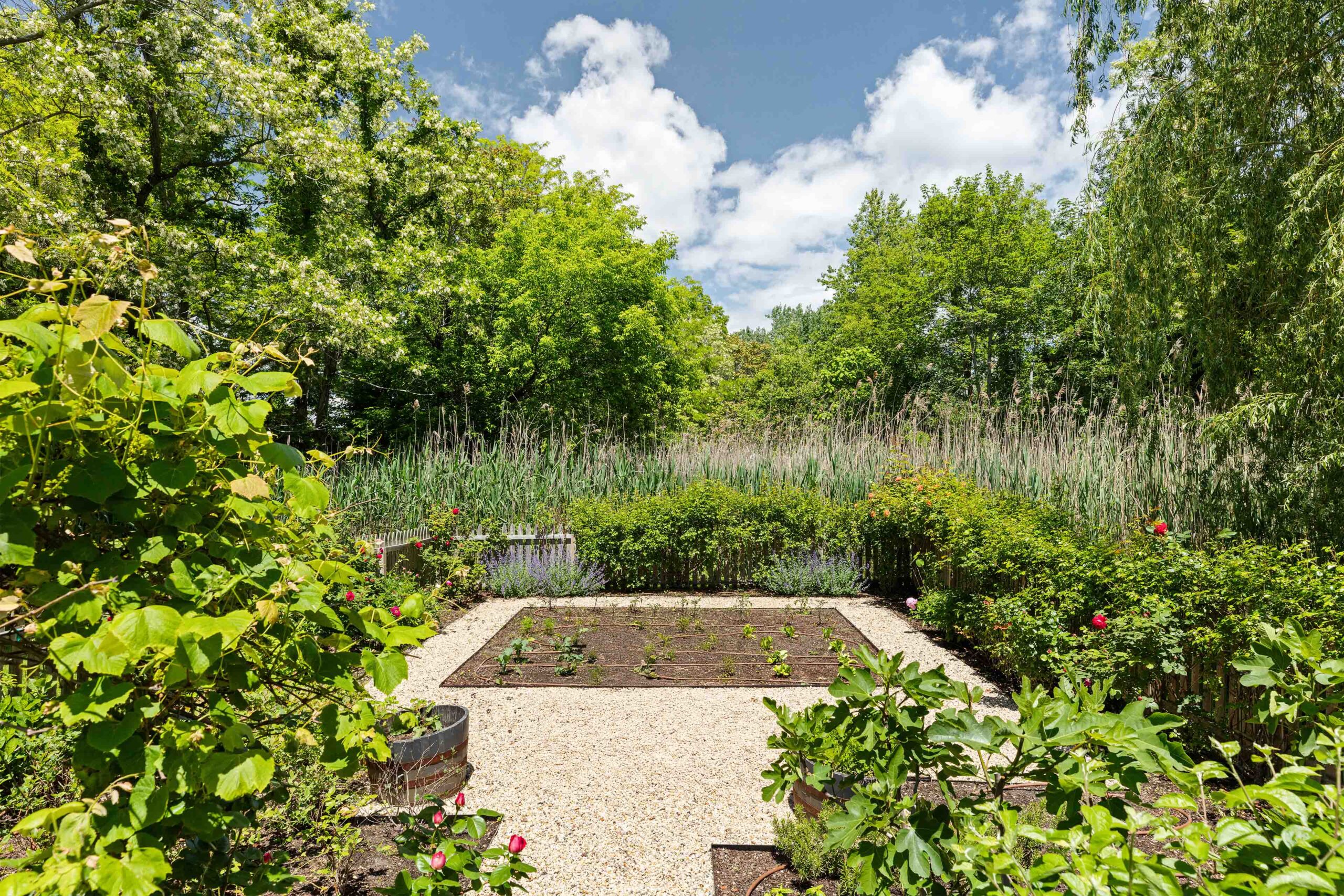 132_GloverStreet_SagHarbor_Garden_WEB